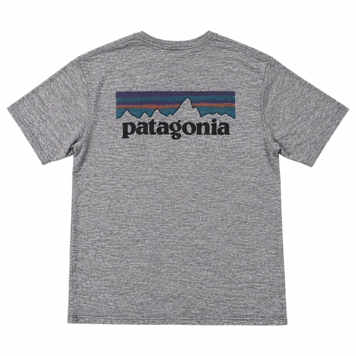 Patagonia gray graphic T-shirt