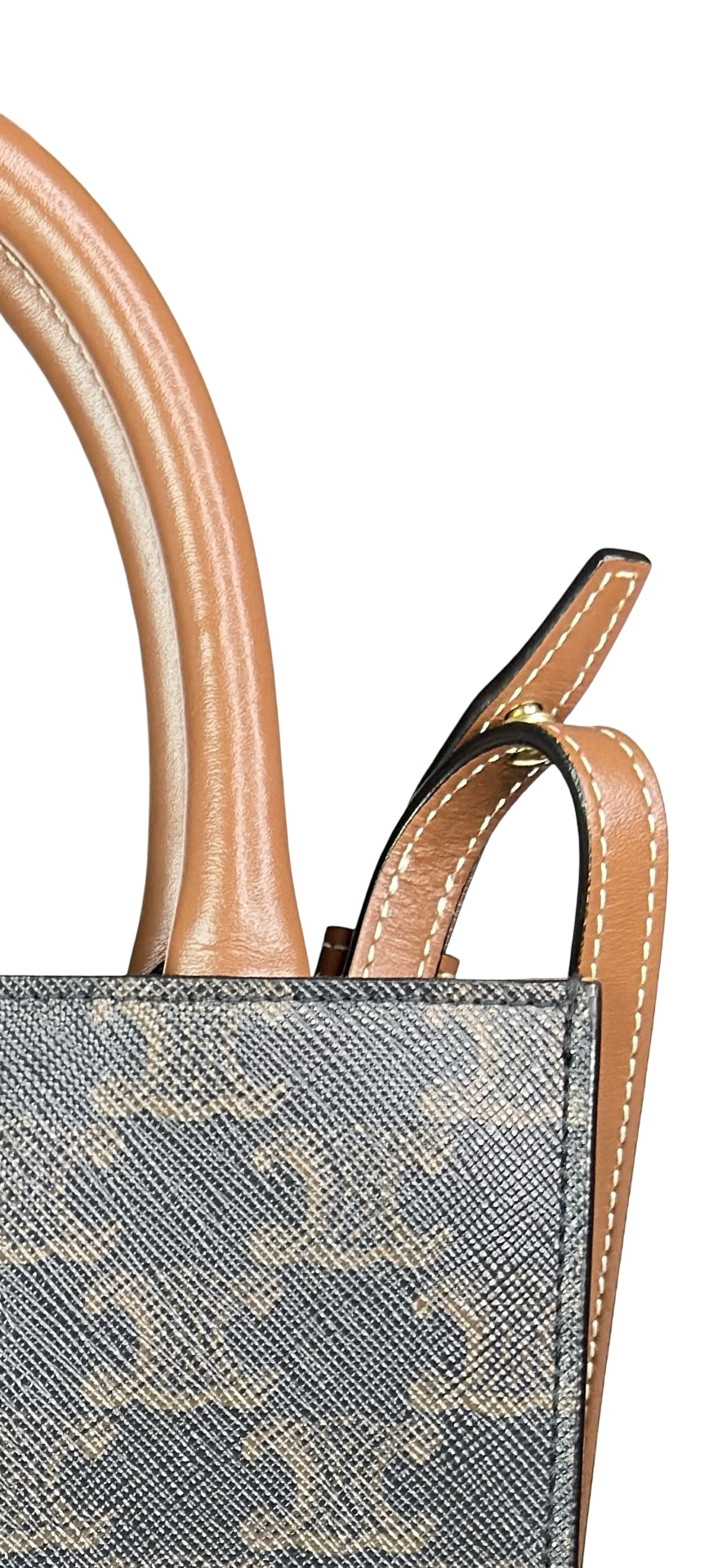 CELINE MINI VERTICAL TRIOMOPHE CANVAS TOTE 2019