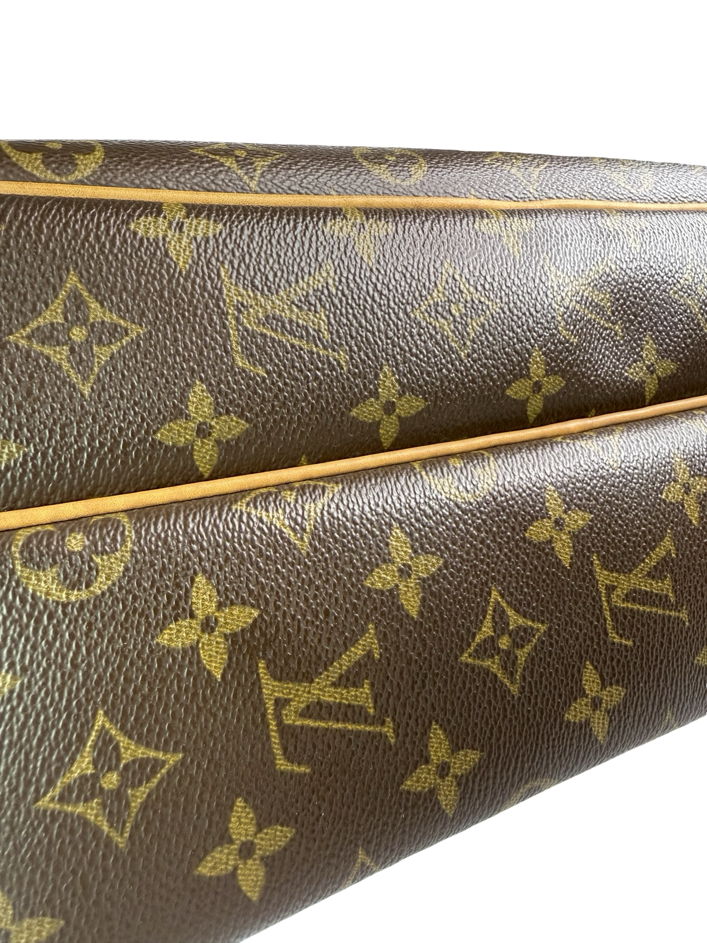 LOUIS VUITTON LV Monogram Reporter GM