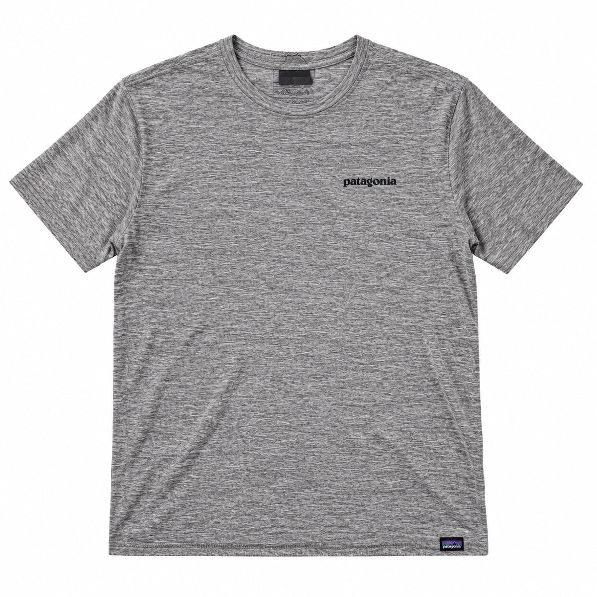 Patagonia gray graphic T-shirt