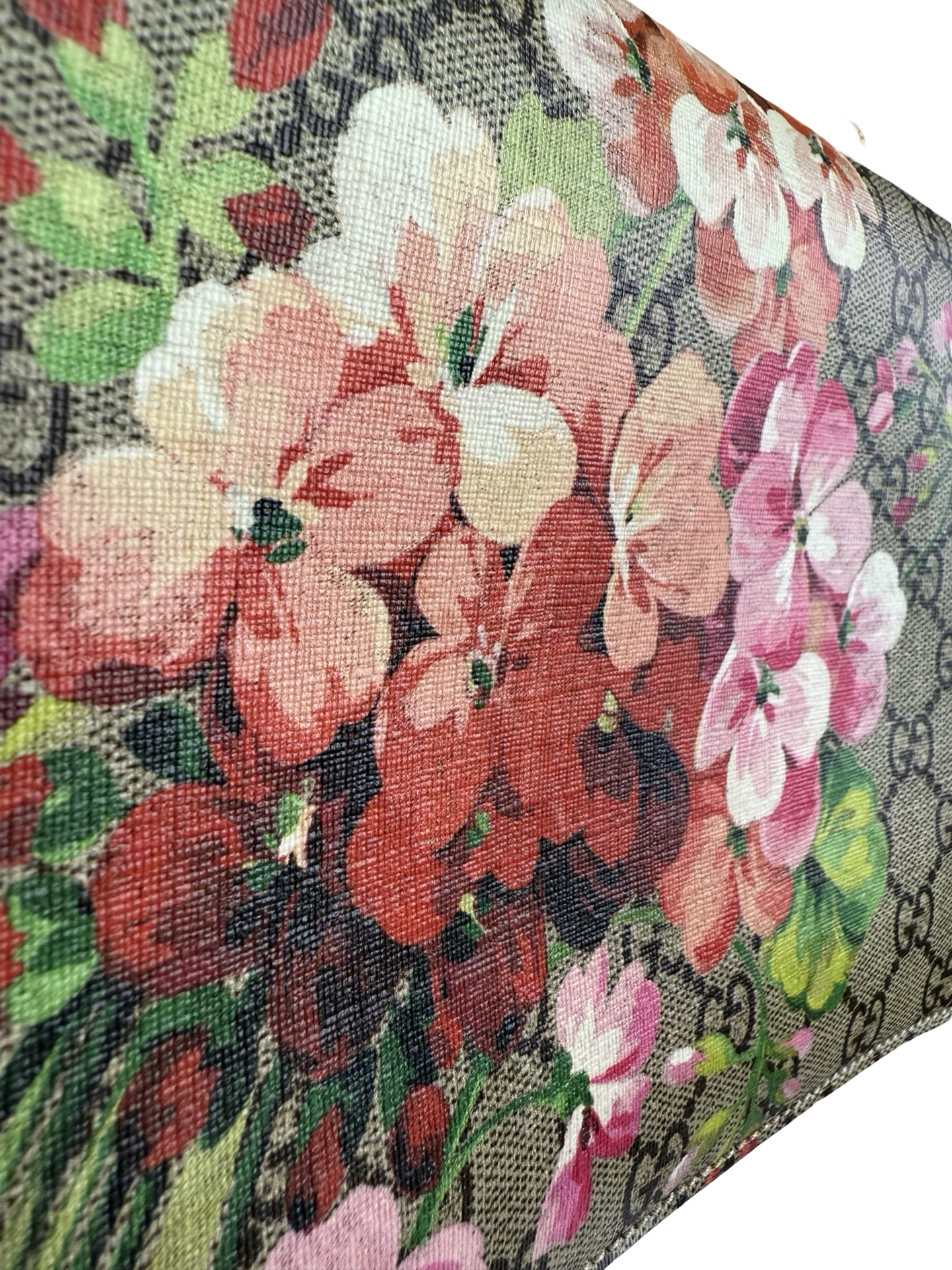 GUCCI GG SUPREME MONOGRAM BLOOMS SMALL